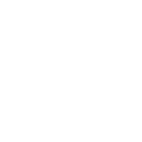 Detektor